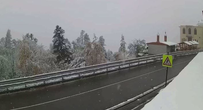 Первые заморозки пришли на Кубань